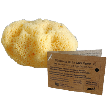 Natural Aegean Sea Sponge (small)