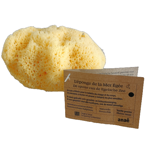 Natural Aegean Sea Sponge (small)